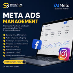 Meta Ads Service — Monthly Management